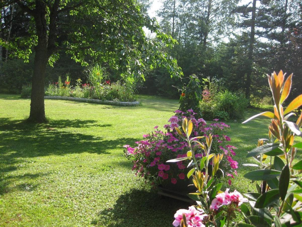 Pension & Fewos Fuchs Mauth Bagian luar foto
